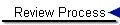 Review Process